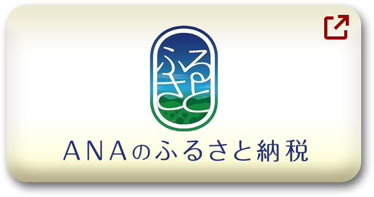 ANAのふるさと納税