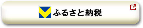 Vふるさと納税