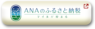 ANAのふるさと納税