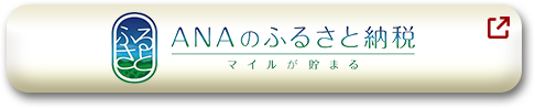 ANAのふるさと納税