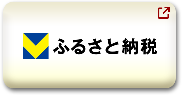 Vふるさと納税