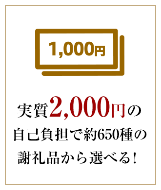 実質2,000円の自己負担で約640種の謝礼品から選べる！